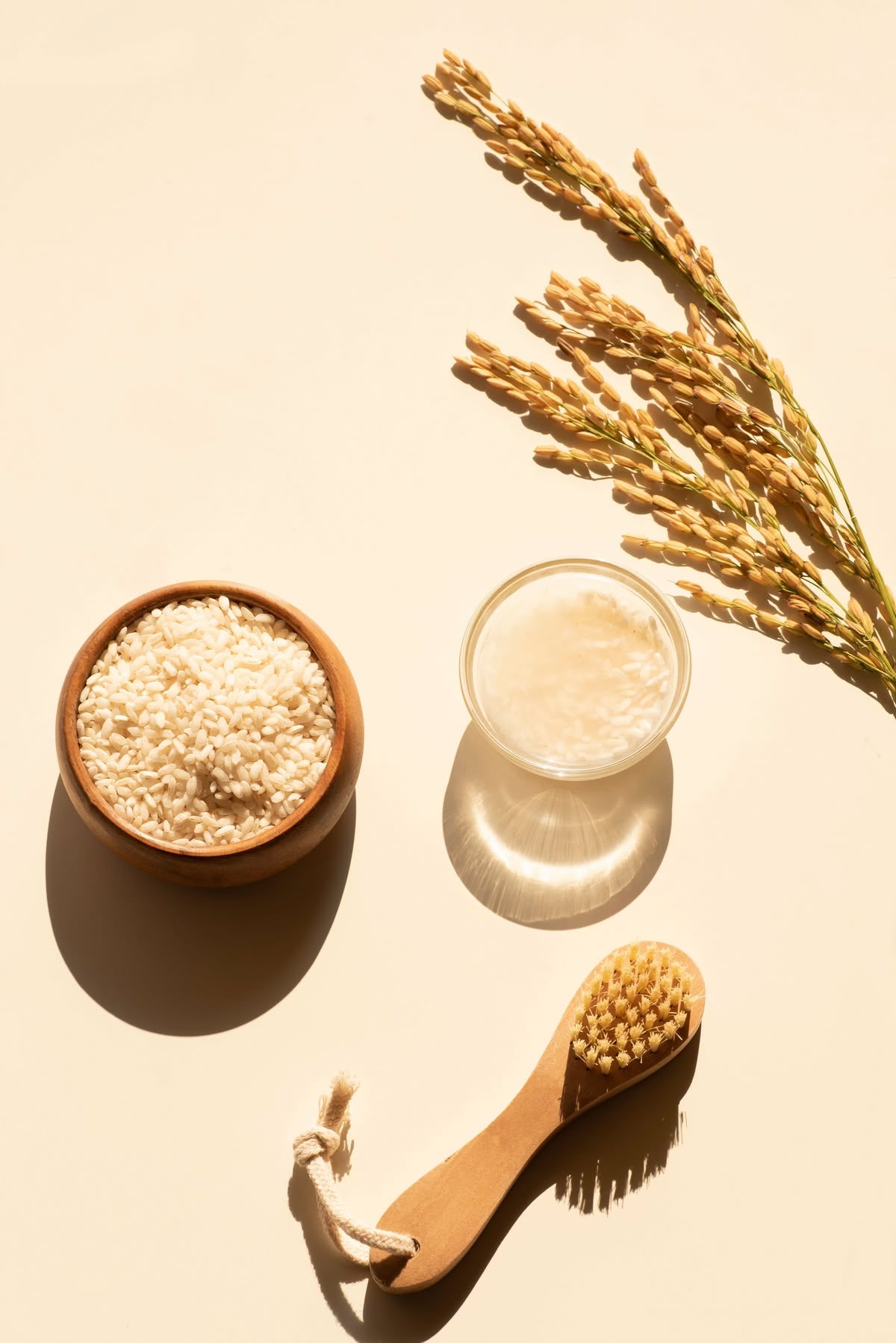 Wheat protein