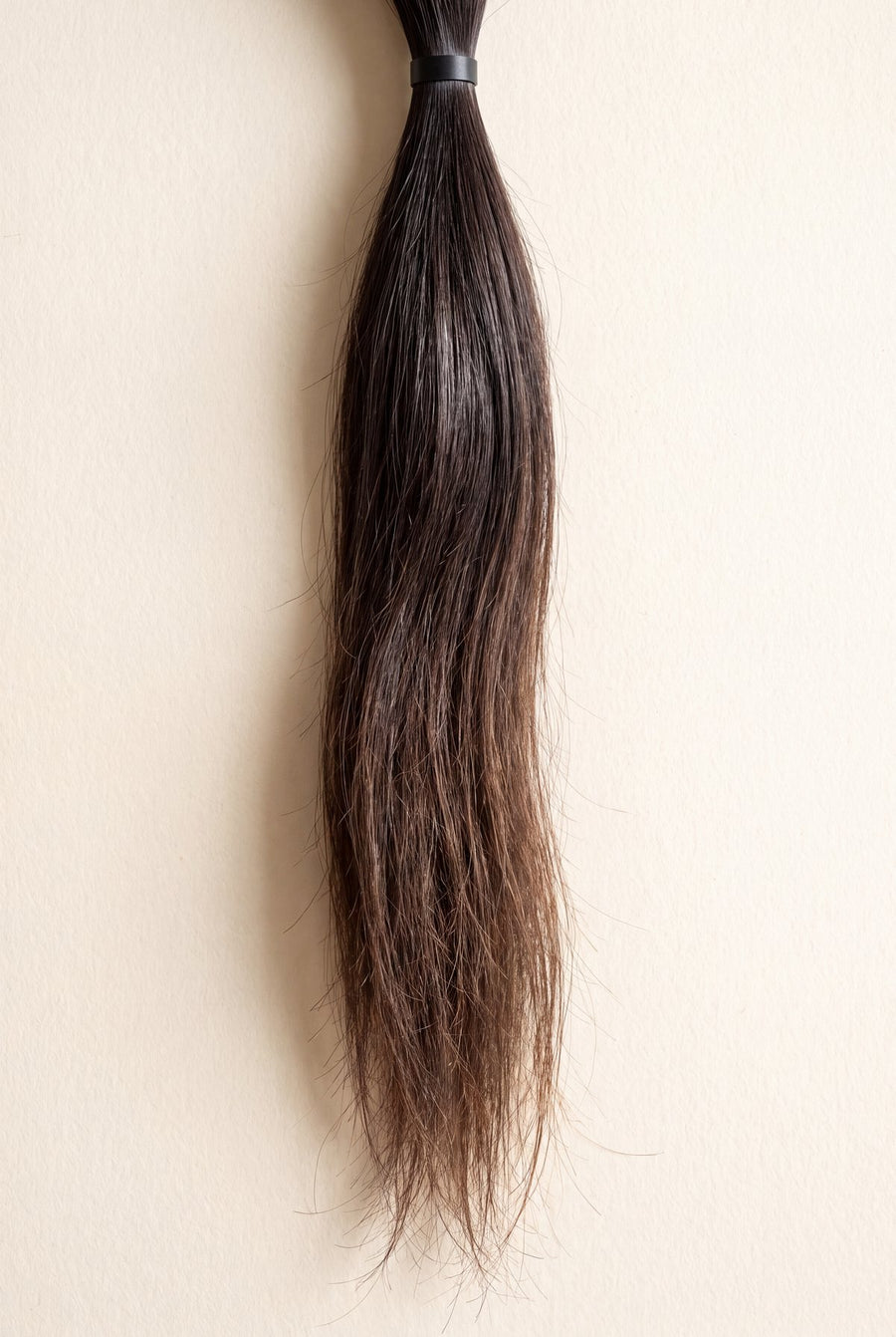 A length of dark hair, darker at the root and lighter at the ends